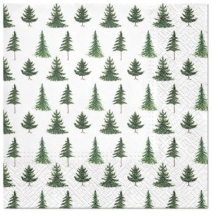 Pl Serwetki Conifer Forest