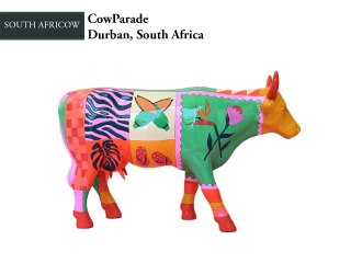 CowParade, Durban, South Africow, autor: Keegan Crawford