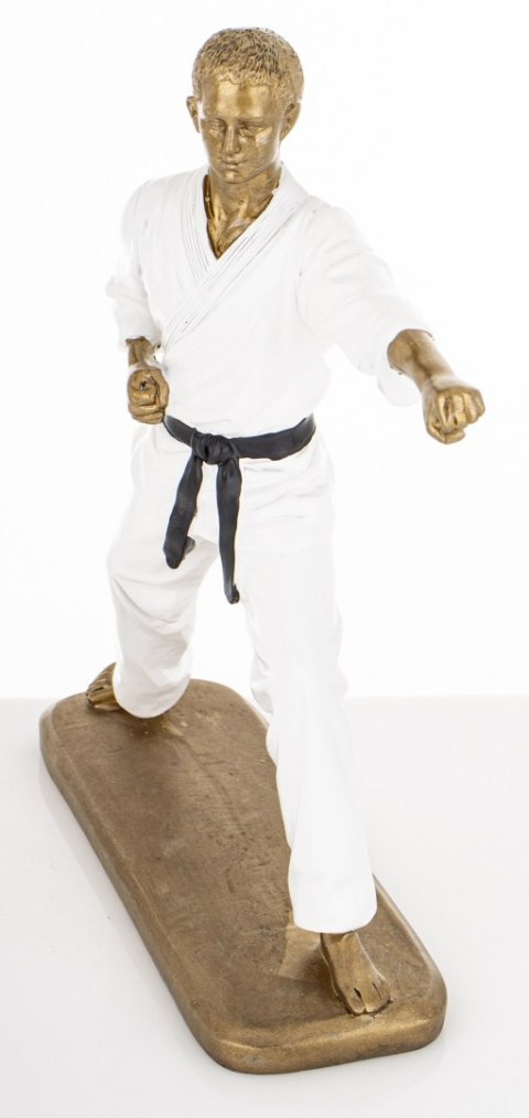 Figurka Mężczyzna Karateka