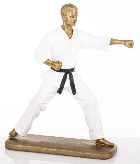 Figurka Mężczyzna Karateka