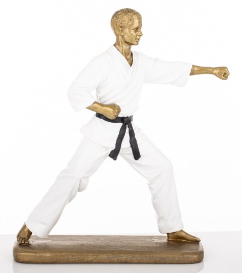 Figurka Mężczyzna Karateka
