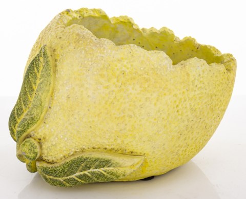 Osłonka Osłonka