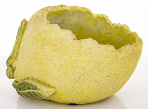 Osłonka Osłonka