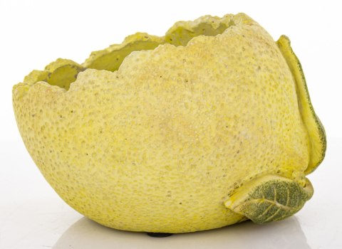 Osłonka Osłonka