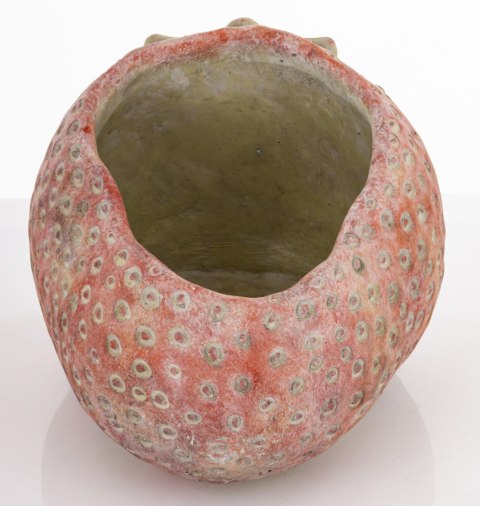 Osłonka