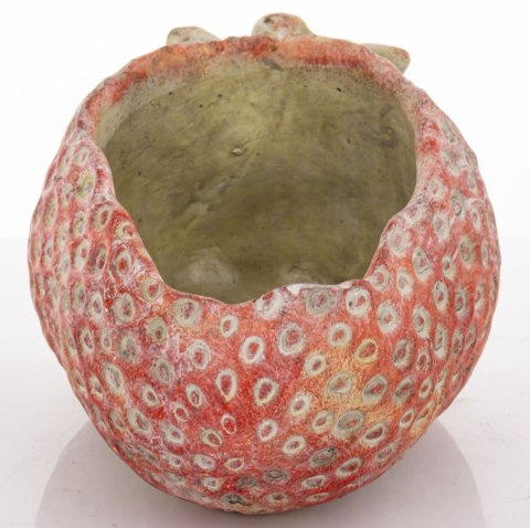 Osłonka