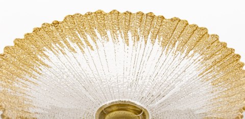 Patera