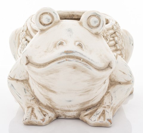 Osłonka Żaba Osłonka Żaba