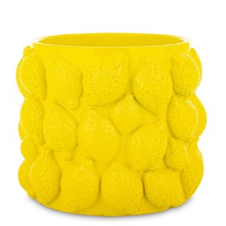 Osłonka
