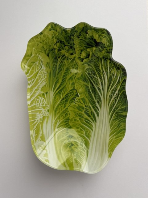 ARIA FRESH Naczynie sałata 13x17xh1cm