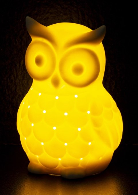 Figurka Sowa Led