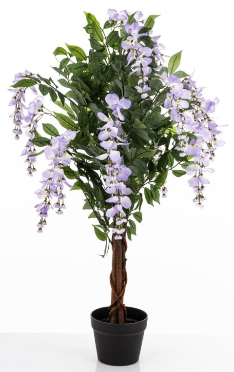 Drzewko Dekoracyjne Wisteria