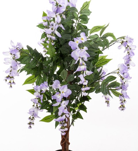 Drzewko Dekoracyjne Wisteria