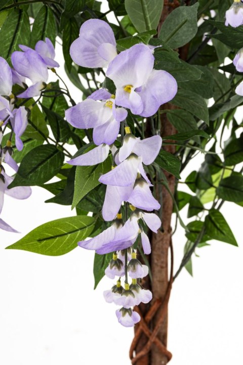 Drzewko Dekoracyjne Wisteria