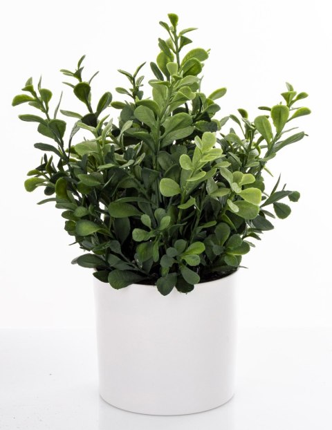 Roślina Dekoracyjna Led-Prom.