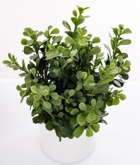 Roślina Dekoracyjna Led-Prom.