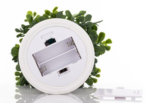 Roślina Dekoracyjna Led-Prom.