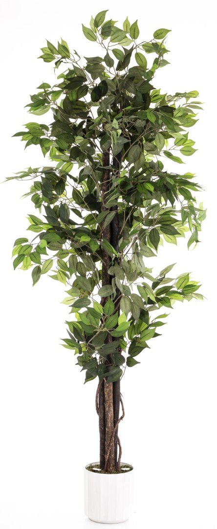 Roślina Dekoracyjna Led