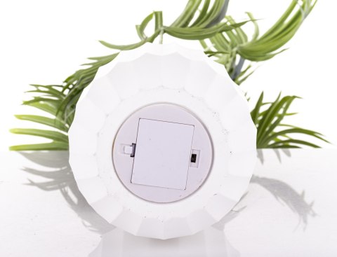 Roślina Dekoracyjna Led