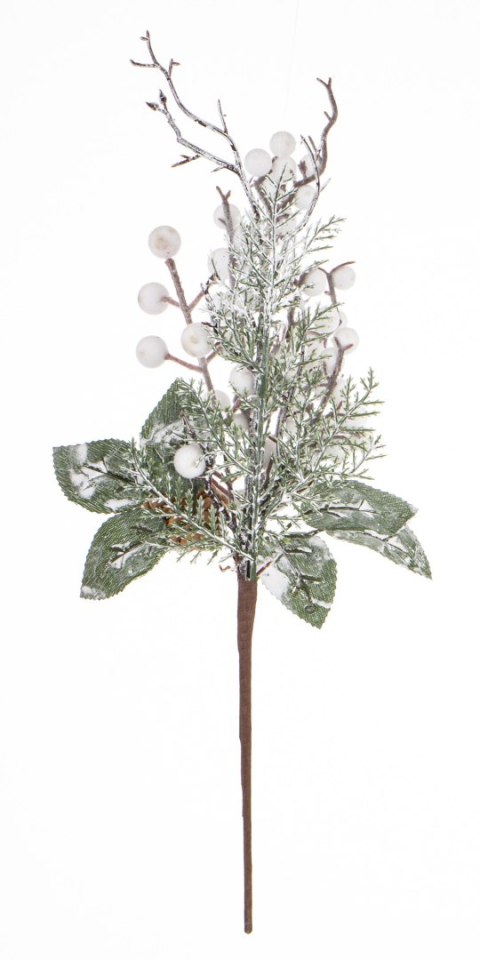 Gałązka