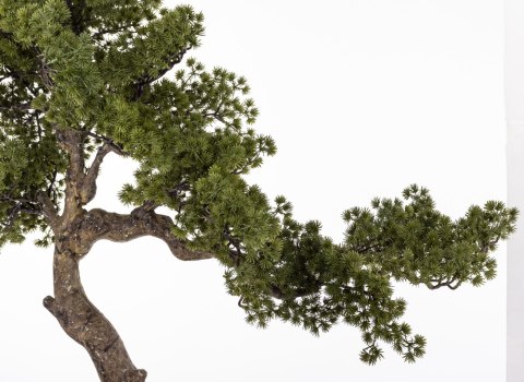 Sztuczne Drzewko Bonsai