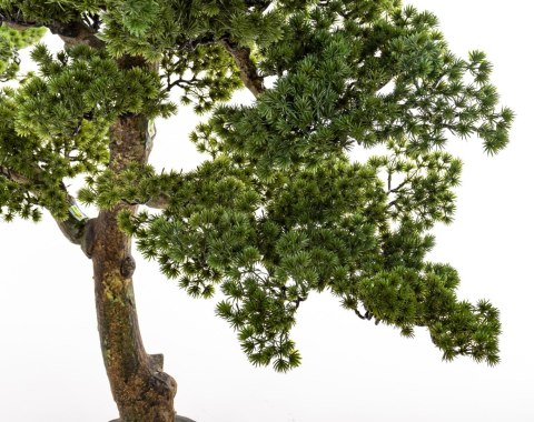 Sztuczne Drzewko Bonsai