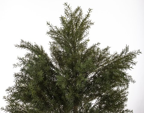 Sztuczne Drzewko Cedrowe