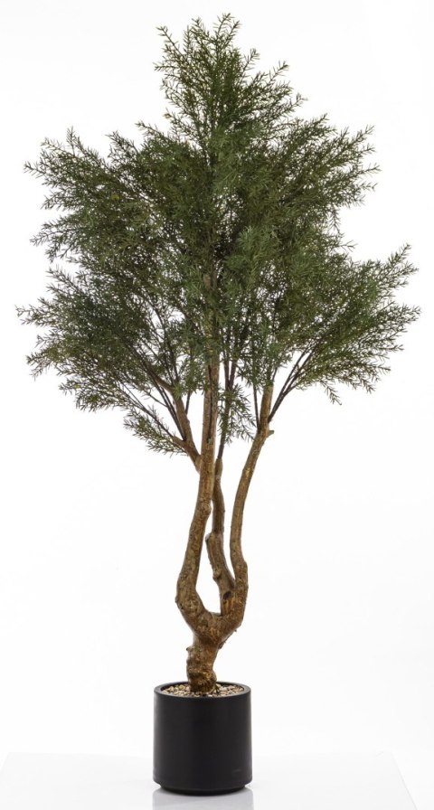 Sztuczne Drzewko Cedrowe