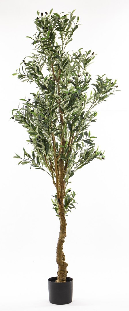 Sztuczne Drzewko Oliwne