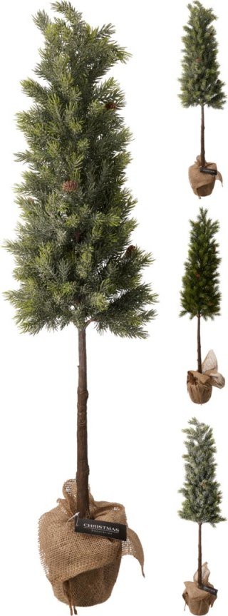 CHOINKA W DONICZCE 106CM