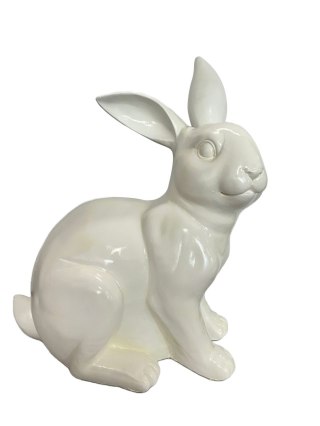 KRÓLIK BIAŁY LEŻĄCY