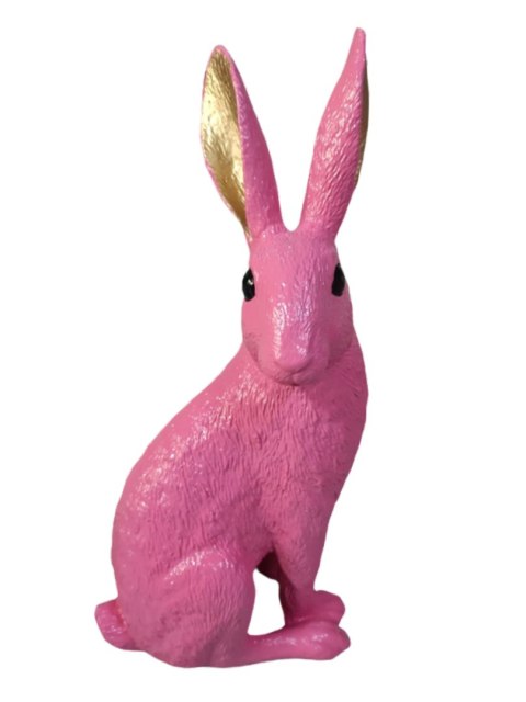 KRÓLIK FUKSJOWY ZE ZŁOTYMI USZAMI