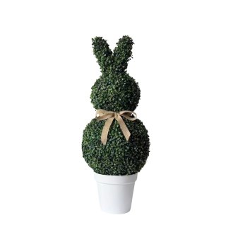 KRÓLIK Z BUKSZPANU W DONICZCE MAXI