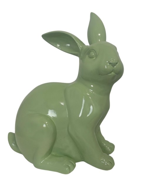 KRÓLIK ZIELONY LEŻĄCY