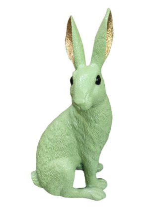 KRÓLIK ZIELONY ZE ZŁOTYMI USZAMI