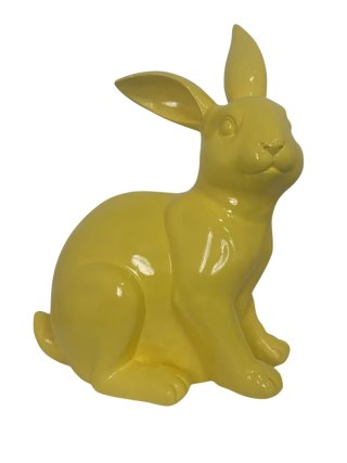 KRÓLIK ŻÓŁTY LEŻĄCY