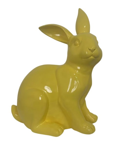 KRÓLIK ŻÓŁTY LEŻĄCY