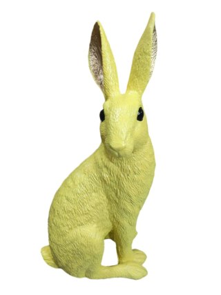 KRÓLIK ŻÓŁTY ZE ZŁOTYMI USZAMI