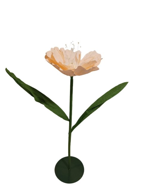 KWIAT BRZOSKWINIOWY MAXI