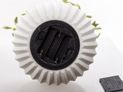 Roślina Dekoracyjna Led