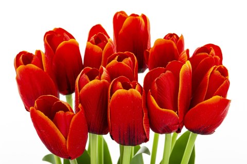 Bukiet Sztucznych Kwiatów