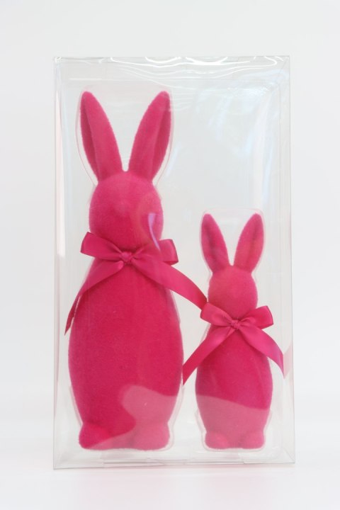 KPL.2 KRÓLIKÓW WELUROWYCH FUKSJOWYCH