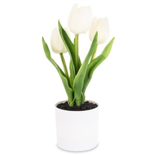 Roślina Dekoracyjna Led-Prom.