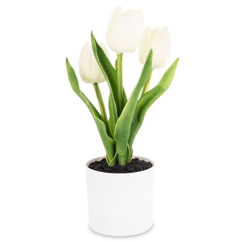 Roślina Dekoracyjna Led-Prom.