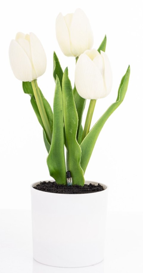 Roślina Dekoracyjna Led-Prom.