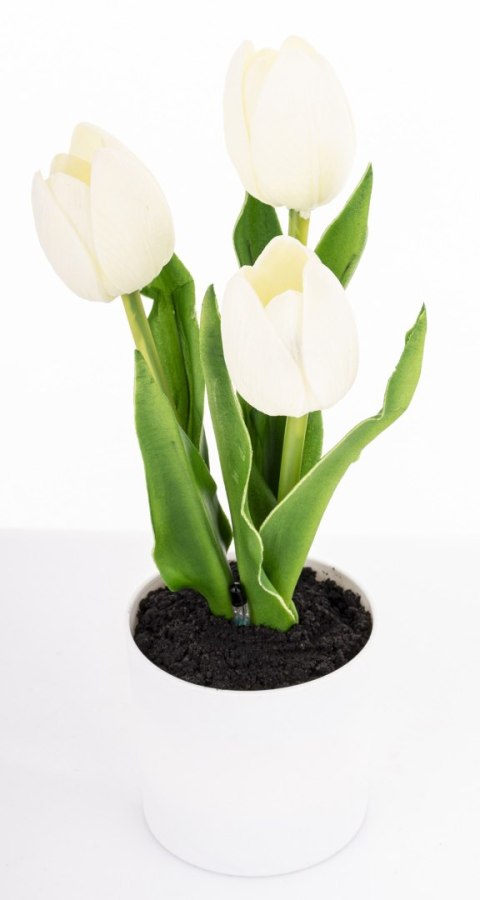 Roślina Dekoracyjna Led-Prom.