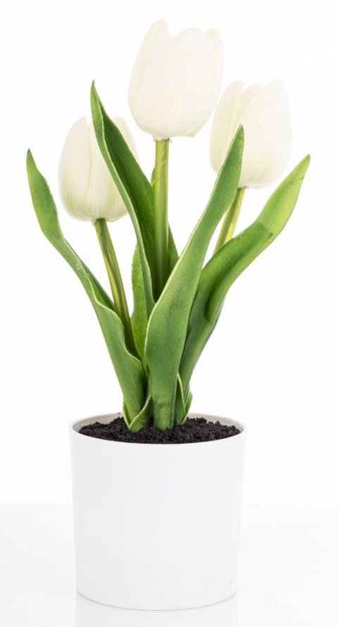 Roślina Dekoracyjna Led-Prom.