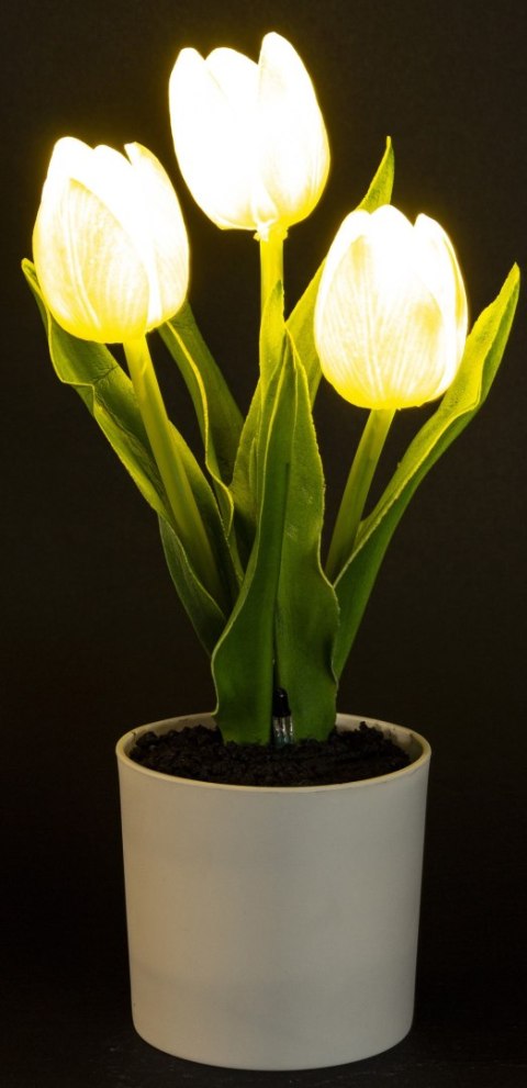 Roślina Dekoracyjna Led-Prom.