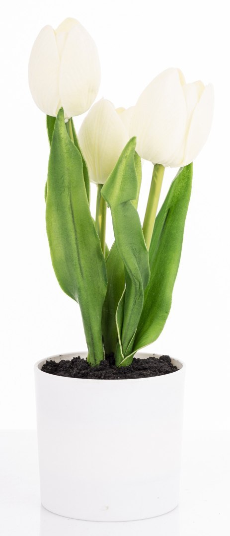 Roślina Dekoracyjna Led-Prom.