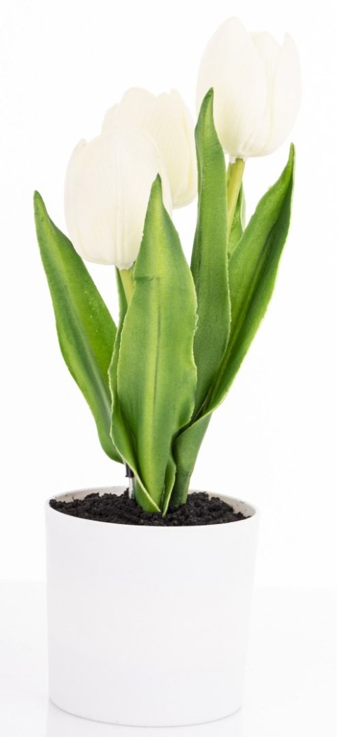 Roślina Dekoracyjna Led-Prom.